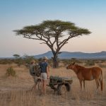 Budget afrique du sud 2 semaines : une aventure entre nature et safari