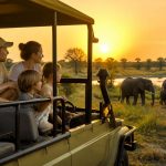 Voyage famille Botswana : organiser un safari sur mesure avec Hors Pistes afrique australe