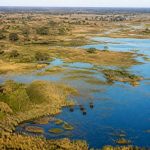 Découvrir le delta okavango, joyau naturel du botswana