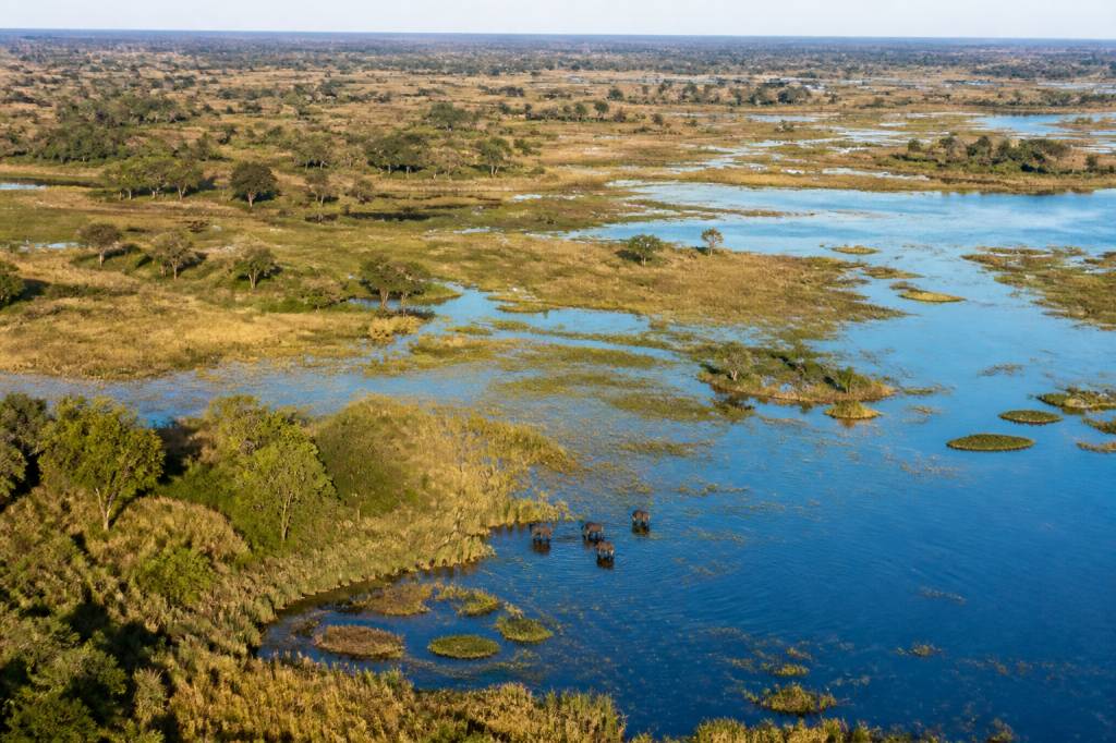 Découvrir le delta okavango, joyau naturel du botswana